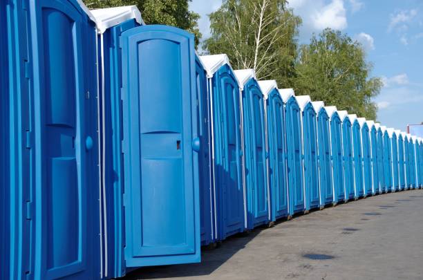 Best Sanitation services for porta potties  in Nekoosa, WI
